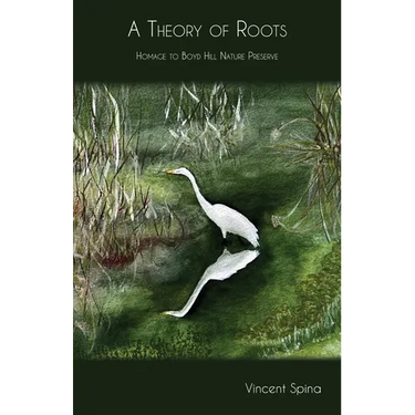 A Theory of Roots: Homage to Boyd Hill Nature Preserve