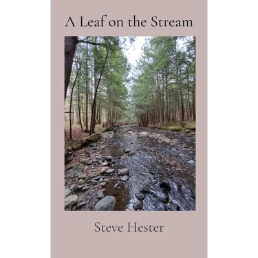 A Leaf on the Stream