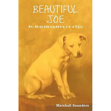 Beautiful Joe