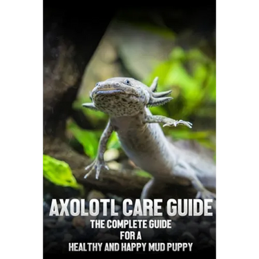 Axolotl care guide: The complete guide for a healthy and happy mud puppy