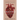 Anatomy: A Love Story