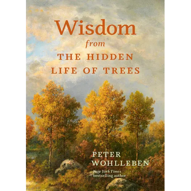 Wisdom from the Hidden Life of Trees