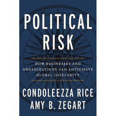 Political Risk: How Businesses and Organizations Can Anticipate Global Insecurity