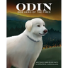 Odin, Dog Hero of the Fires