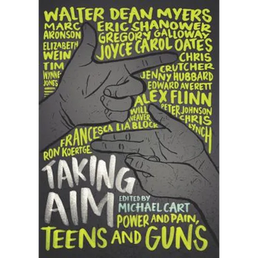 Taking Aim: Power and Pain, Teens and Guns