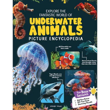 Explore Fantastic World of Underwater Animals Picture Encyclopedia
