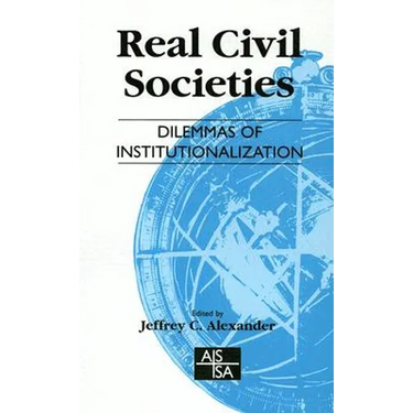 Real Civil Societies: Dilemmas of Institutionalization