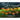 Ten Little Jack O Lanterns: A Counting Storybook 1
