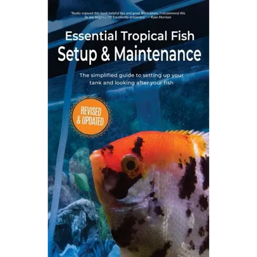 Essential Tropical Fish Setup & Maintenance: The simplified guide to setting up your tank and looking after your fish