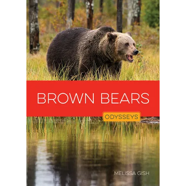 Brown Bears