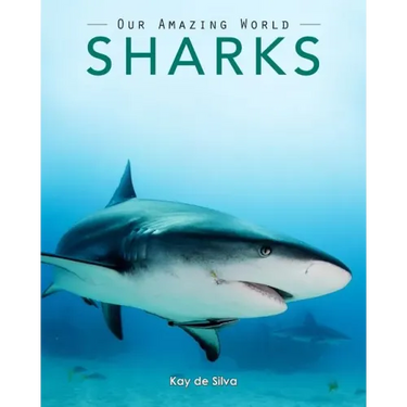 Sharks: Amazing Pictures & Fun Facts on Animals in Nature