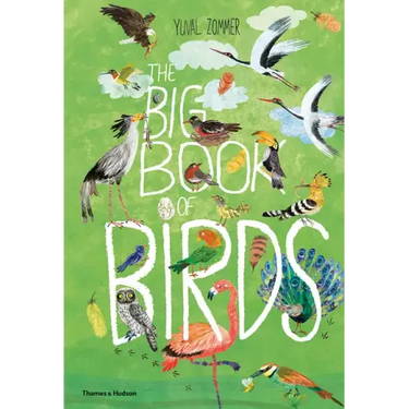 The Big Book of Birds