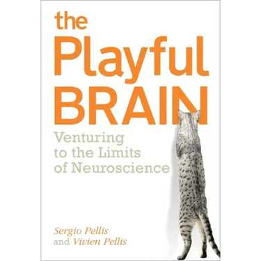 Playful Brain: Venturing to the Limits of Neuroscience