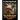 The Reflections of My Yorkshire Terrier: A Coloring Book