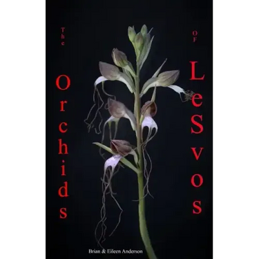 Orchids of Lesvos