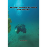 Spatial Disorientation for Divers