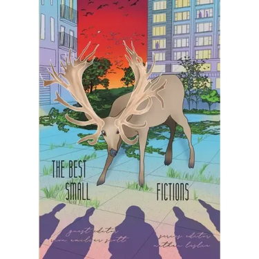The Best Small Fictions Anthology 2021