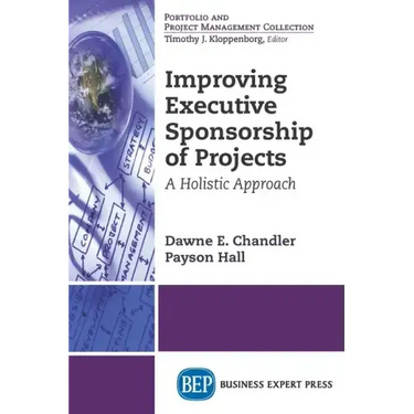 Improving Executive Sponsorship of Projects: A Holistic Approach