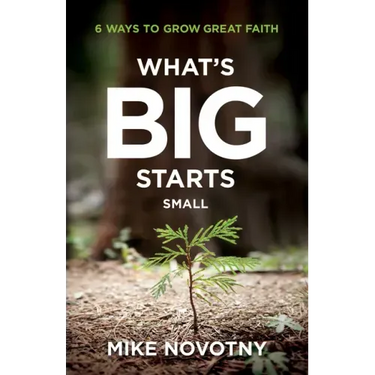 What's Big Starts Small