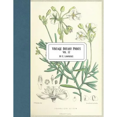 Vintage Botany Prints: Vol. 12