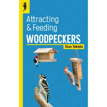 Attracting & Feeding Woodpeckers