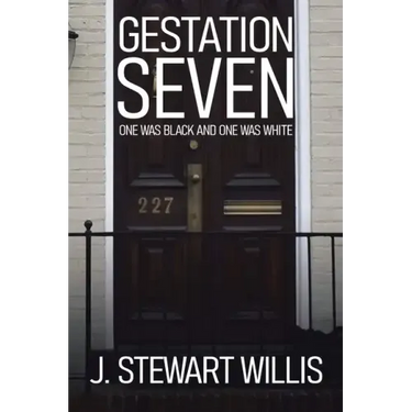 Gestation Seven: One Was Black and One Was White