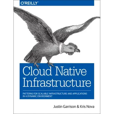 Cloud Native Infrastructure: Patterns for Scalable Infrastructure and Applications in a Dynamic Environment