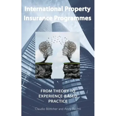 International Property Insurance Programmes: From Theory To Experience-based Practice