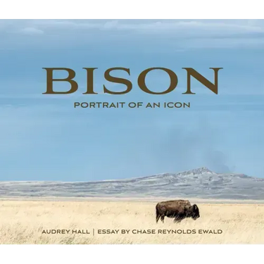 Bison: Portrait of an Icon