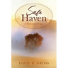 Safe Haven: A Historical Novel