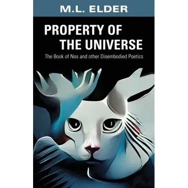 Property of the Universe: The Book of Nos and other Disembodied Poetics