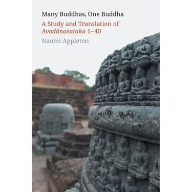 Many Buddhas, One Buddha: A Study and Translation of Avadānaśataka 1-40