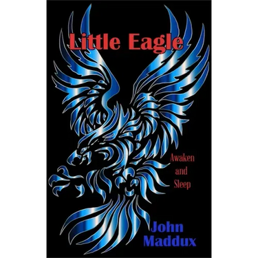 Little Eagle: Awaken and Sleep