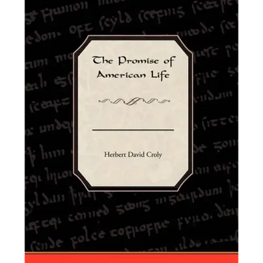 The Promise Of American Life