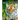 221 Amazing Wild Animals Encyclopedia