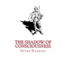 The Shadow of Consciousness: A Little Less Wrong