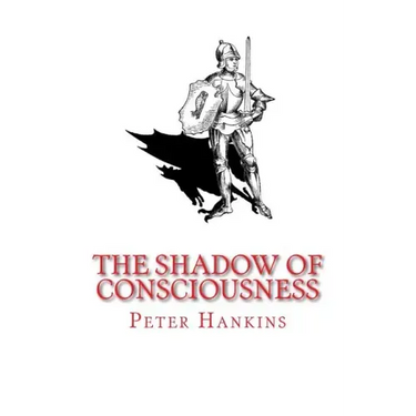 The Shadow of Consciousness: A Little Less Wrong