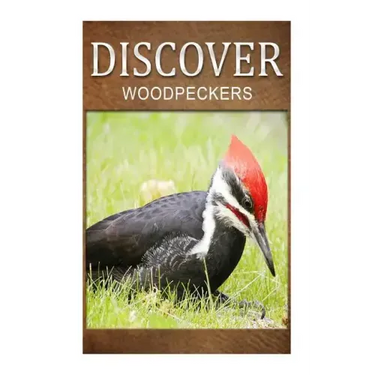 Woodpeckers - Discover: Early reader's wildlife photography book