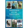 Thoughts On My Thoughts