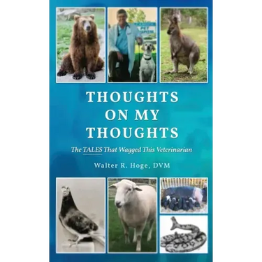 Thoughts On My Thoughts