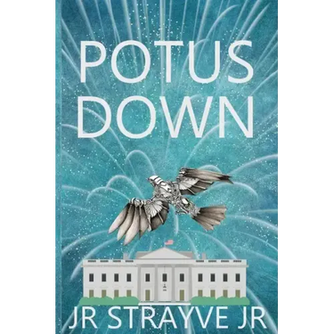 Potus Down