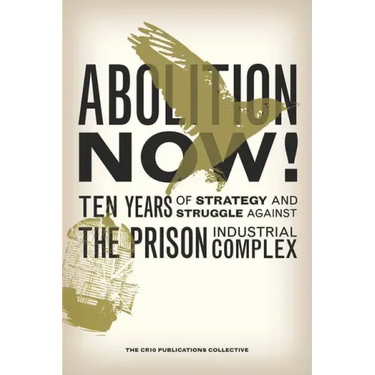 Abolition Now!: Ten Years of Strategy and Struggle Against the Prison Industrial Complex