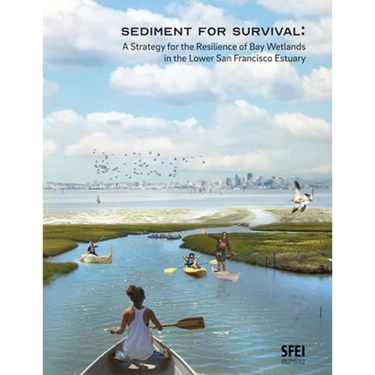 Sediment for Survival: A Strategy for the Resilience of Bay Wetlands in the Lower San Francisco Estuary