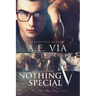 Nothing Special V