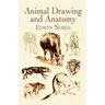 Animal Drawing and Anatomy