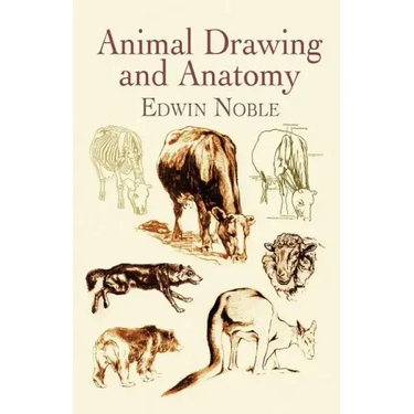 Animal Drawing and Anatomy