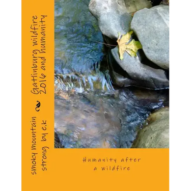 Gatlinburg wildfire 2016 and humanity: Humanity after a wildfire
