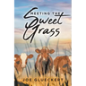 Meeting the Sweet Grass