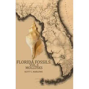 Florida Fossils: Mollusks