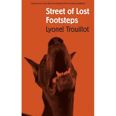 Street of Lost Footsteps: Rue Des Pas-Perdus